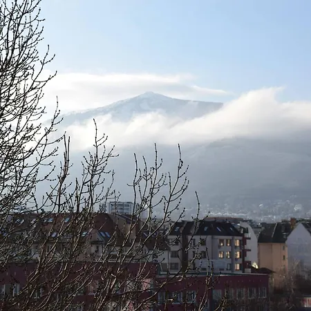 Bright & Cozy 1-bedroom With Stunning Vitosha View *