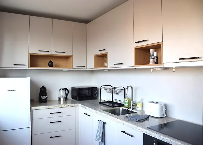 Bright & Cozy 1-bedroom With Stunning Vitosha View * София