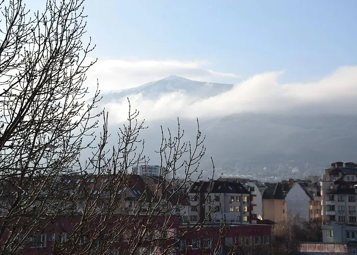 Bright & Cozy 1-bedroom With Stunning Vitosha View *